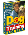 Dog Training